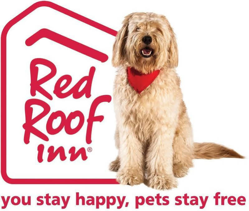 Red Roof Inn Plus+ Columbus-Ohio State University Osu Exterior foto